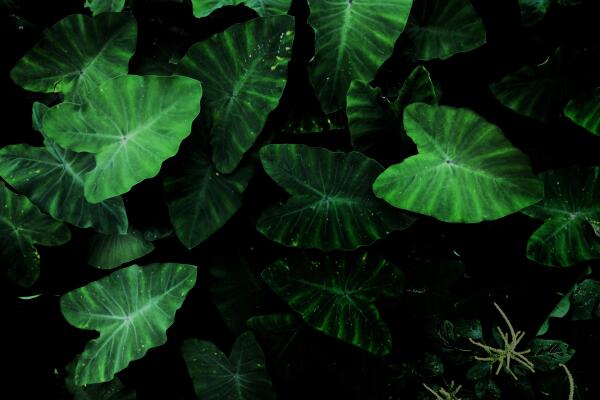 Test 2